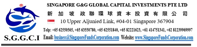 Singapore G & G Global Capital Investments Pte Ltd logo
