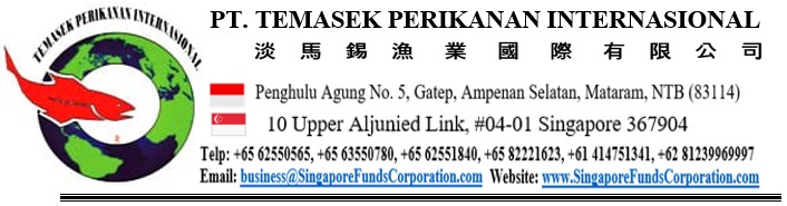 PT. Temasek Perikanan Internasional logo
